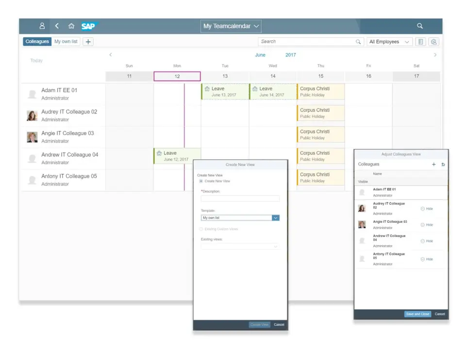 SAP Fiori My Team Calendar App SAP HR Fiori Apps Support and Services